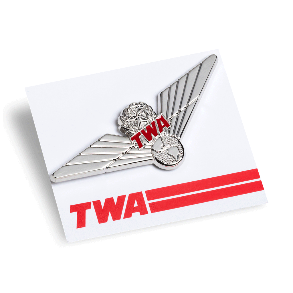 Enamel Silver Wings Pin